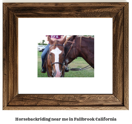 horseback riding near me in Fallbrook, California